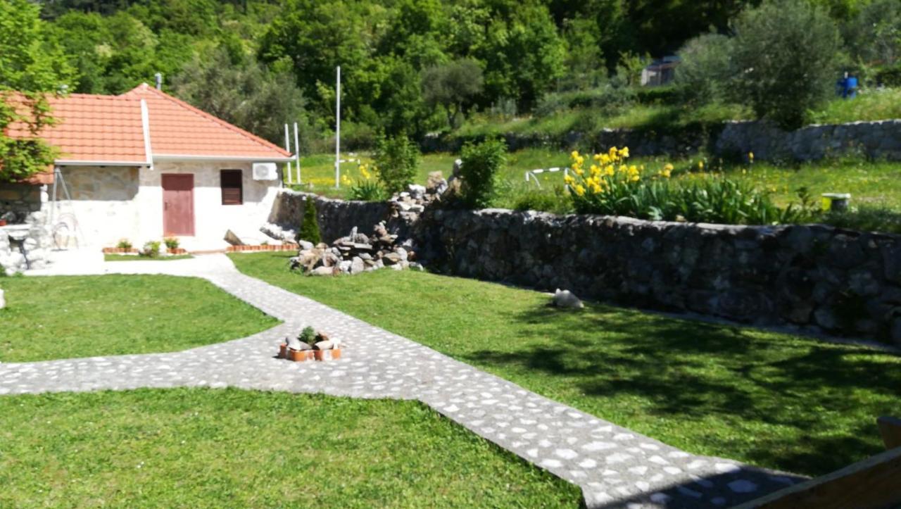 Forest Apartments Kotor Buitenkant foto