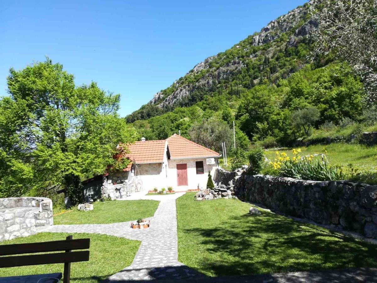 Forest Apartments Kotor Buitenkant foto